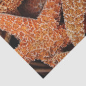 Dekoupage Seidenpapier (Ausschnitt)