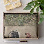 Dekoupage Tissue Paper Seidenpapier (Geschenk)