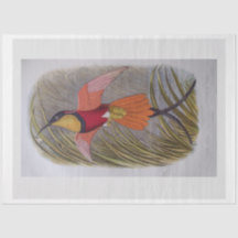 Dekoupage Tissue Paper Vintag Bird Art