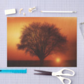 Dekoupage Tissue (Tissue) Seidenpapier (Handwerk)