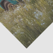 Dekoupage Vintage Aquamarine LKW-Feld Sage Grass Seidenpapier (Ausschnitt)