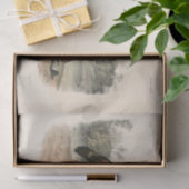 Dekoupage von American Red Texan Wolf (Canis lupus Seidenpapier (Geschenk)