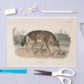 Dekoupage von American Red Texan Wolf (Canis lupus Seidenpapier (Handwerk)