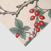 Dekoupage von Kardinälen und Roten Bereren Seidenpapier (Detail)