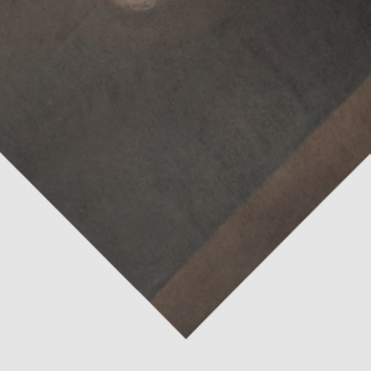 Dekoupage von Princess Sisters Seidenpapier (Ausschnitt)