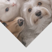 Dekoupage Whimsical Cats & Hunde Herzerwärmung Sze Seidenpapier (Detail)