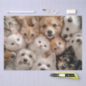 Dekoupage Whimsical Cats & Hunde Herzerwärmung Sze Seidenpapier (Handwerk)