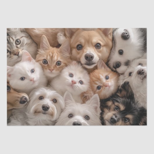 Dekoupage Whimsical Cats & Hunde Herzerwärmung Sze Seidenpapier (Vorderseite)