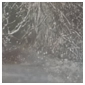 Dekoupage Whimsical Kanbits in Alice Wonderland Stoff (Nahaufnahme)