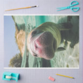 Dekoupage Whimsical Ocean Noisy Manatee Seidenpapier (Basteln)