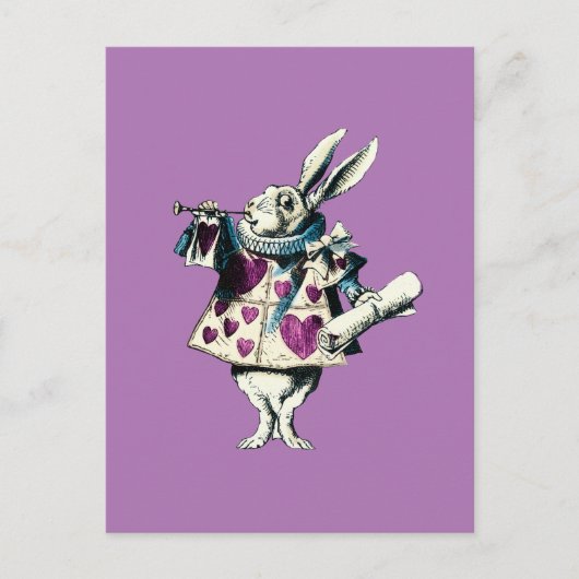 Dekret des Orchid White Rabbit Postkarte (Vorderseite)