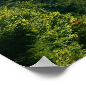 Del Campo Peak Poster (Ecke)