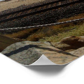 Del Mar Beach von RZB Poster (Ecke)