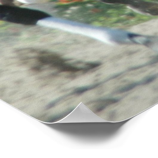 Del Mar Racetrack Poster (Ecke)