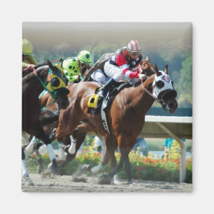 Del Mar-Rennbahn-Magnet Magnet