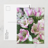 Del Piero Tulips Postkarte (Vorne/Hinten)