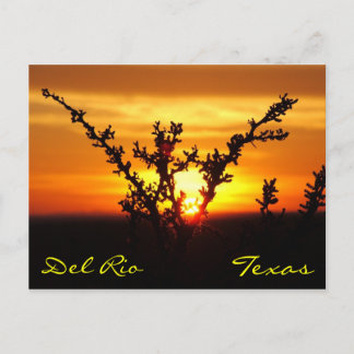 Del Rio Texas Brush Sunset Postcard Postkarte