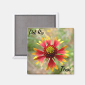 Del Rio Texas Magnet Deckblume Wildblume texa (Vorderseite/Rückseite)
