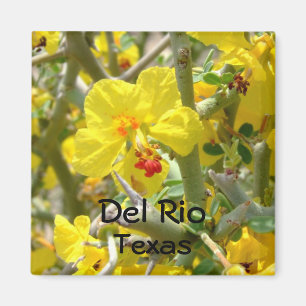Del Rio Texas Magnetgelb Allthorn Blume Magnet