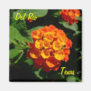 Del Rio Texas Magnetlantana-Blume Magnet