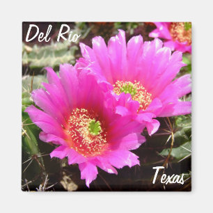 Del Rio Texas Souvenirs Rosa Kaktus Blume Magnet