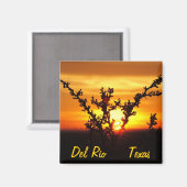 Del Rio Texas Souvenirs Wüstenbürste Sonnenunterga Magnet (Vorderseite/Rückseite)