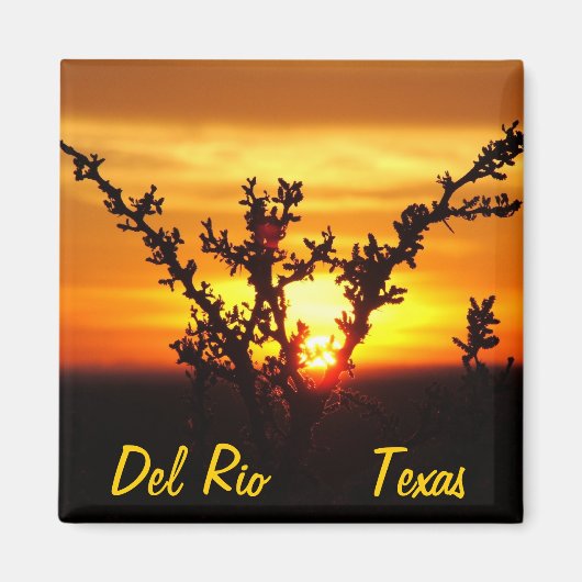 Del Rio Texas Souvenirs Wüstenbürste Sonnenunterga Magnet (Vorne)