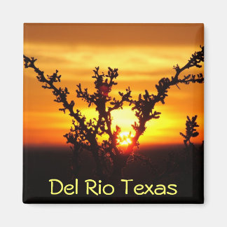 Del Rio Texas Souvenirs Wüstenbürste Sonnenunterga Magnet