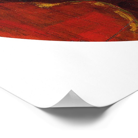 Delacroix - Halbzahl eines Marokkaners Poster (Ecke)