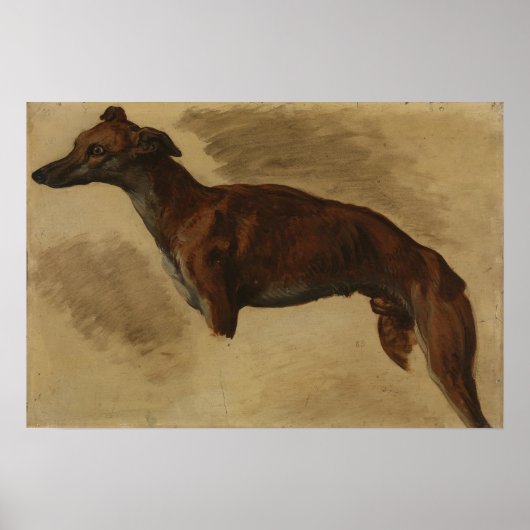Delacroix - Levrier vermutlich 1859 Poster (Vorne)