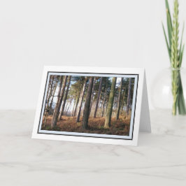 Delamere Forest Greetings Card Karte