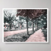 DELAND FLORIDA POSTER (Vorne)