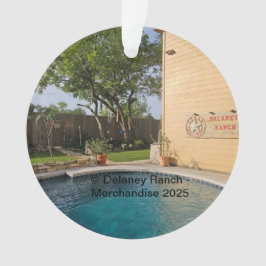 Delaney Ranch 2025 Acrylschmuck Ornament
