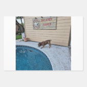 Delaney Ranch Wrapping Paper Flat Sheet Set 3 Geschenkpapier Set (Vorderseite 2)