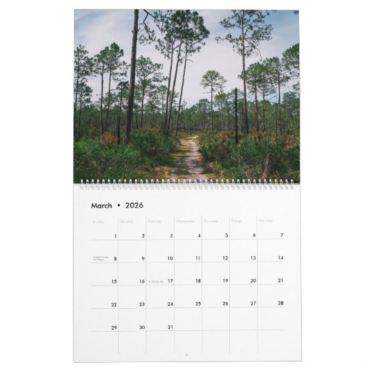 Delaney Royer 2024 Kalender (Mär 2026)