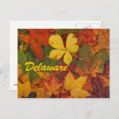 Delaware Autumn Leaves Postcard Postkarte (Vorne/Hinten)
