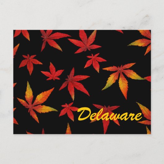 Delaware Autumn Leaves Postcard Postkarte (Vorderseite)