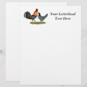 Delaware Blue Hen (Vorne/Hinten)