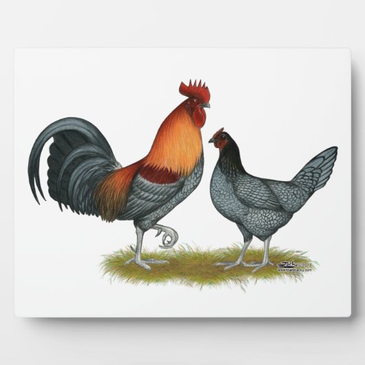 Delaware Blue Hen Fotoplatte (Vorderseite)