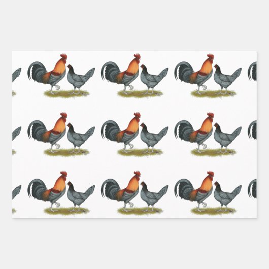 Delaware Blue Hen Geschenkpapier Set (Vorderseite 2)