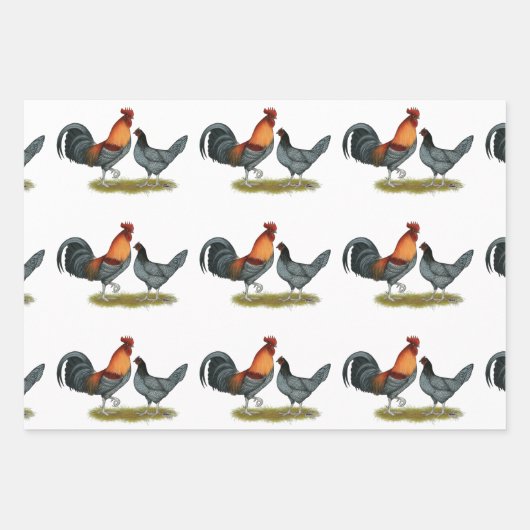 Delaware Blue Hen Geschenkpapier Set (Vorderseite)