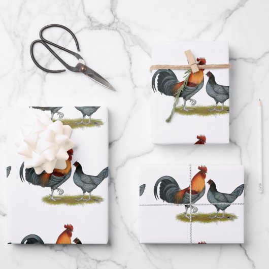 Delaware Blue Hen Geschenkpapier Set (Vorderseite)