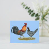 Delaware Blue Hen Postkarte (Stehend Vorderseite)