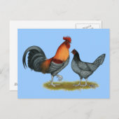 Delaware Blue Hen Postkarte (Vorne/Hinten)