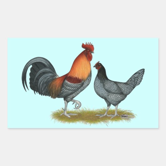 Delaware Blue Hen Rechteckiger Aufkleber (Vorderseite)