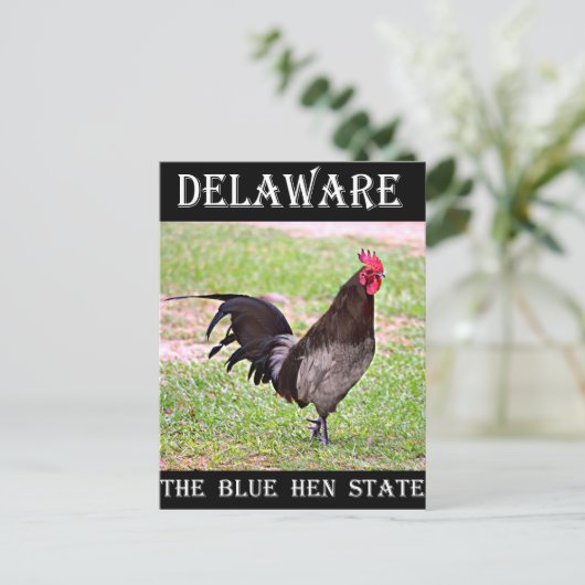 Delaware Blue Hen (Rooster) Postkarte (Stehend Vorderseite)