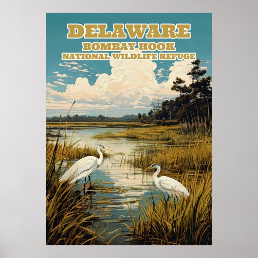 Delaware Bombay Hook V03 Poster (Vorne)