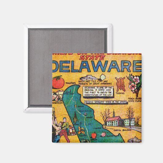 Delaware, der Diamond-Staat Magnet (Vorderseite/Rückseite)