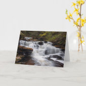 Delaware-Fälle - Herbst 2018 Karte (Gelbe Blume)