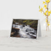 Delaware Falls - Herbst 2018 Karte (Gelbe Blume)